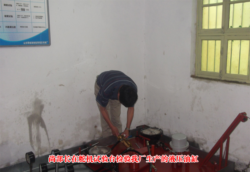 ���һ�ӭ�ൺ�����ع���ͧ���쵼���ҳ��ιۿ���